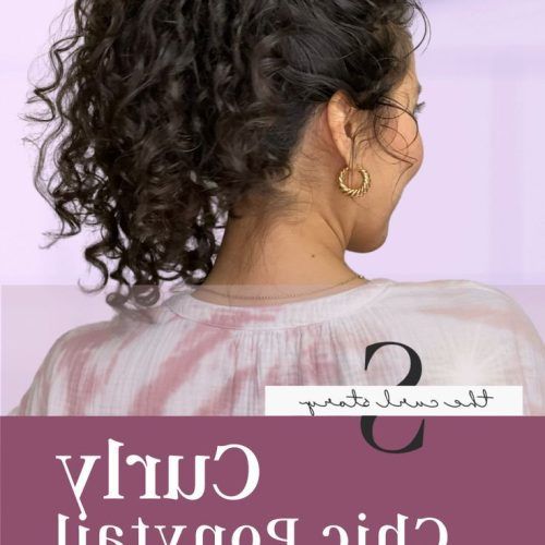 Chic Ponytail Updo For Long Curly Hair (Photo 5 of 15)