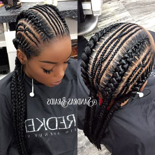 Chunky Black Ghana Braids Ponytail Hairstyles (Photo 17 of 20)