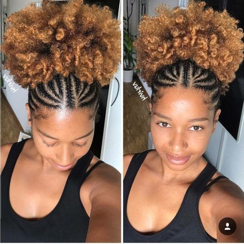 Curly Blonde Afro Puff Ponytail Hairstyles (Photo 7 of 20)