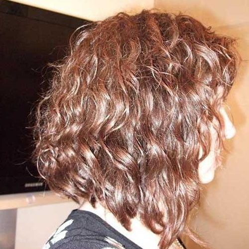 Long Curly Bob with regard to 2018 Curly Inverted Bob Hairstyles (Photo 68 of 292)