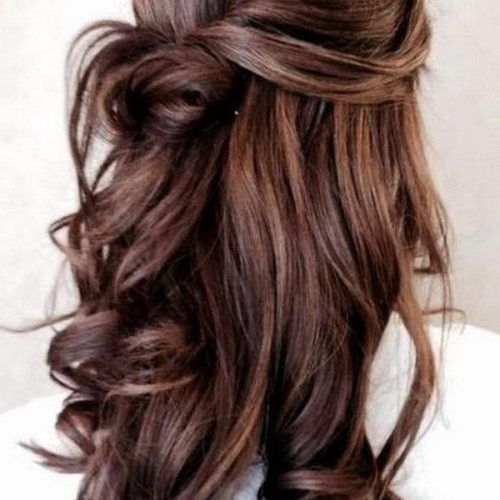 Half Up Long Hairstyles (Photo 18 of 20)