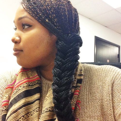 Micro Braids Hairstyles In Side Fishtail Braid (Photo 3 of 20)