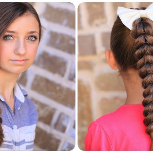 Reverse Braid And Side Ponytail Hairstyles (Photo 8 of 20)