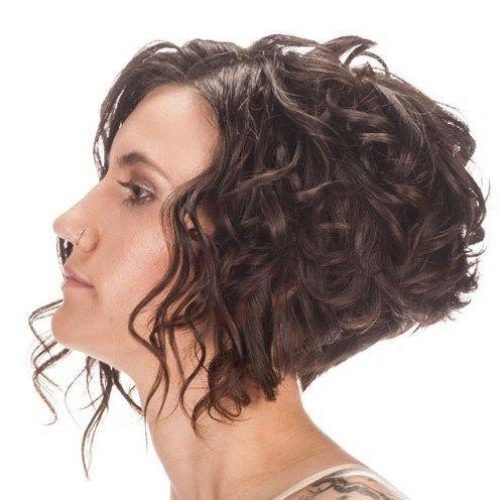 Short Curly Inverted Bob Hairstyles (Photo 15 of 15)