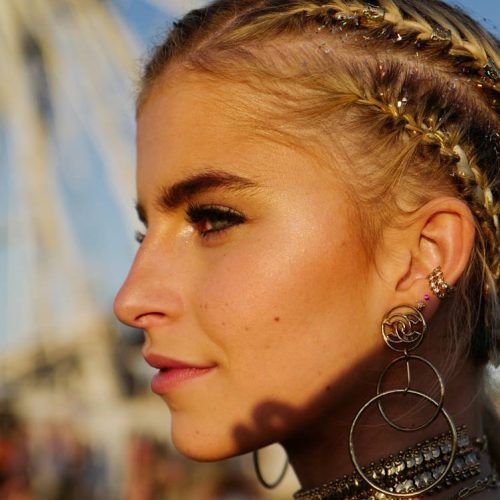 Strong Braid Ponytail Hairstyles (Photo 19 of 20)
