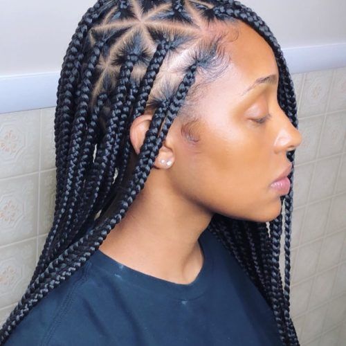 Tiny Braids Hairstyles For Front Pieces (Photo 17 of 20)