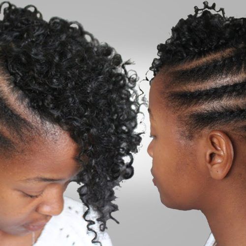 Twists And Braid Hairstyles (Photo 10 of 20)