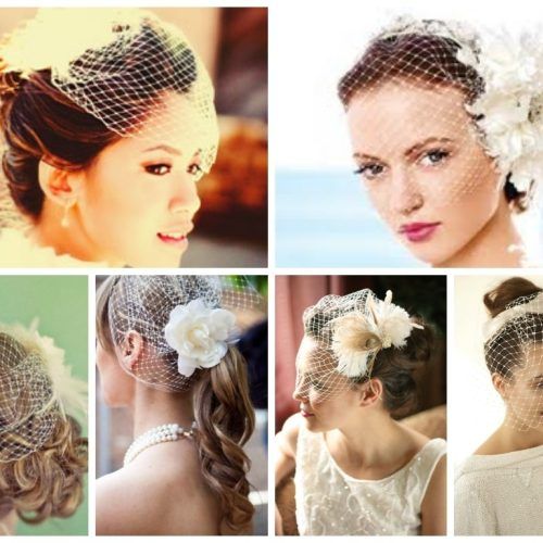 Wedding Updos For Long Hair With Veil (Photo 12 of 15)