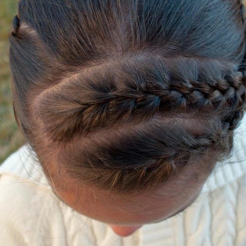 Diagonal Two French Braid Hairstyles (Photo 13 of 15)