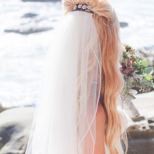 Half Up With Veil Wedding Hairstyles (Photo 11 of 15)
