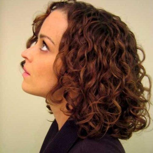 Long Haircuts For Thick Curly Hair (Photo 14 of 15)