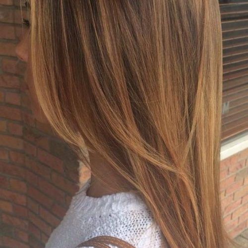 Long Haircuts For Women With Straight Hair (Photo 7 of 15)