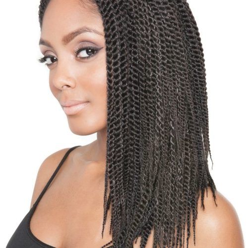 Long Twists Invisible Braids With Highlights (Photo 18 of 20)