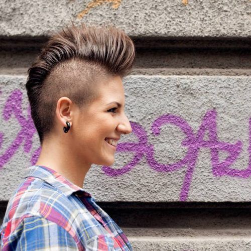 Pink And Purple Mohawk Hairstyles (Photo 9 of 20)