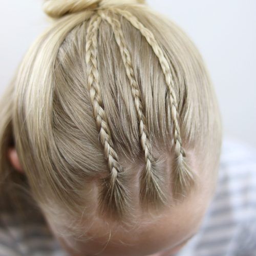 Pony Hairstyles With Accent Braids (Photo 15 of 20)