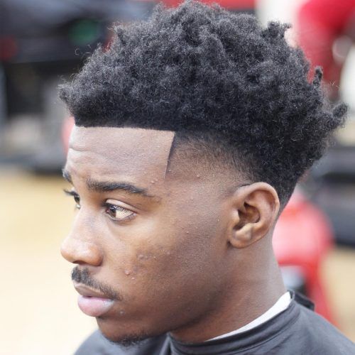 Shaggy Hairstyles For Black Guys (Photo 12 of 15)