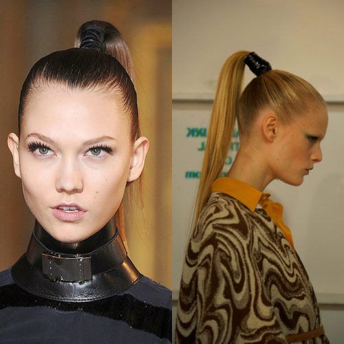 Sky High Pony Updo Hairstyles (Photo 4 of 20)