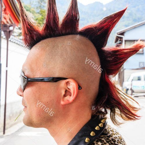 Spikey Mohawk Hairstyles (Photo 7 of 20)