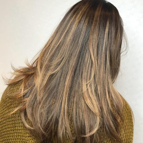 Warm Brown Hairstyles With Feathered Layers (Photo 11 of 20)