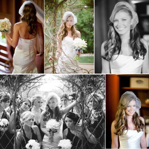 Wedding Hairstyles For Long Hair With Birdcage Veil (Photo 14 of 15)