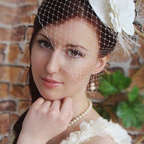 Wedding Hairstyles For Long Hair With Birdcage Veil (Photo 9 of 15)