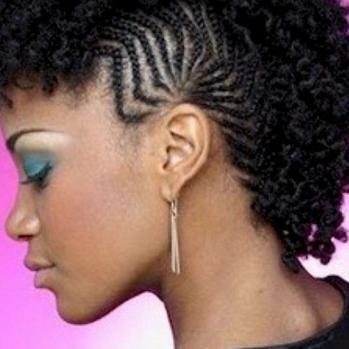 Black Twisted Mohawk Braid Hairstyles (Photo 16 of 20)