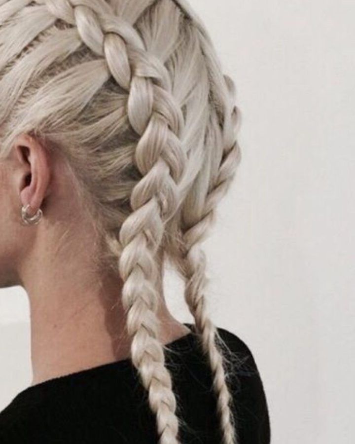 15 Inspirations Braided Hairstyles for White Hair