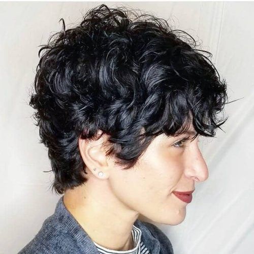 Curly Pixie Hairstyles With Segmented Undercut (Photo 8 of 20)