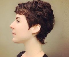 15 Collection of Growing-out Pixie Haircuts for Curly Hair