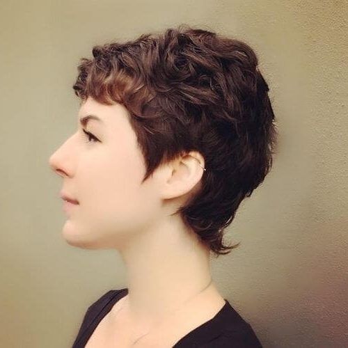 Growing-Out Pixie Haircuts For Curly Hair (Photo 1 of 15)