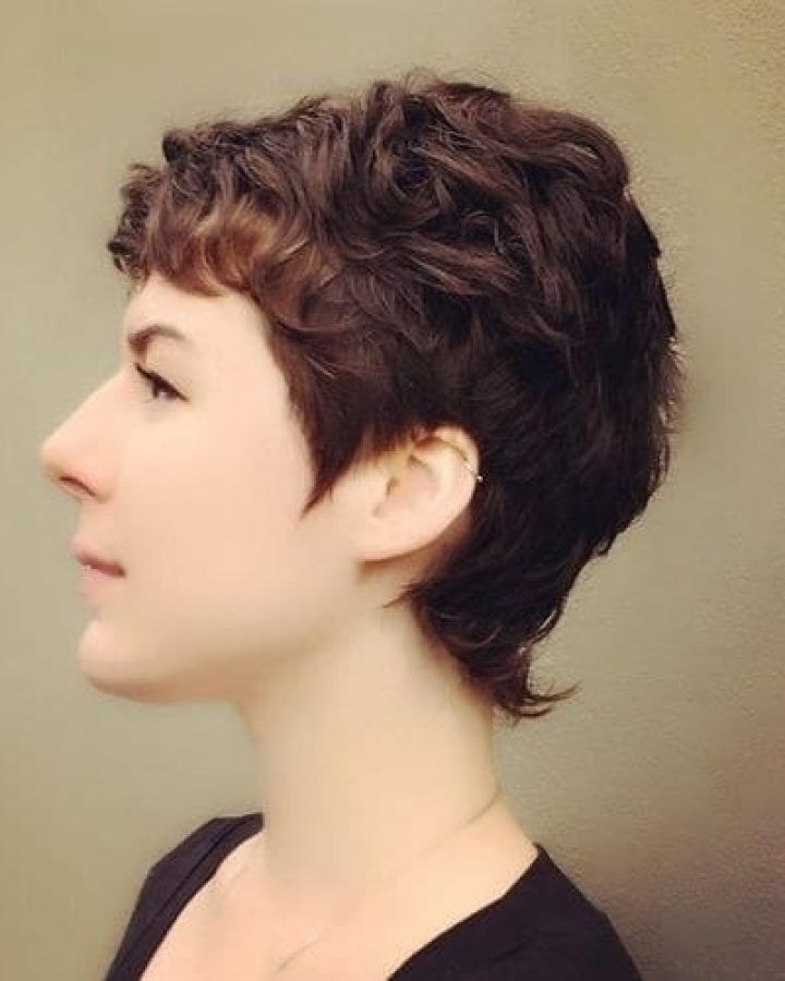 15 Collection of Growing-out Pixie Haircuts for Curly Hair