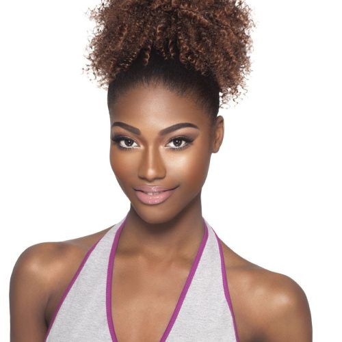 Highlighted Afro Curls Ponytail Hairstyles (Photo 9 of 20)