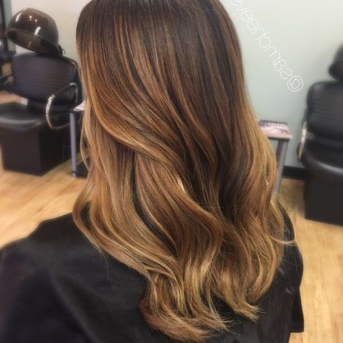Honey Kissed Highlights Curls Hairstyles (Photo 15 of 20)