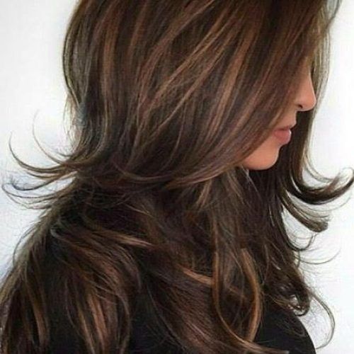 Long Hairstyles With Layers And Highlights (Photo 7 of 15)