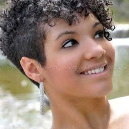 Naturally Curly Pixie Haircuts (Photo 12 of 20)