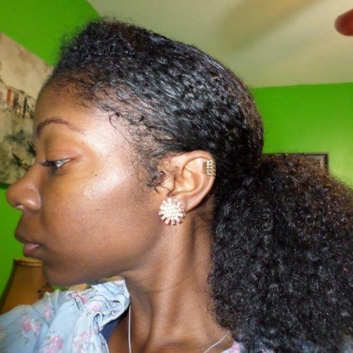 Naturally Curly Ponytail Hairstyles (Photo 18 of 20)