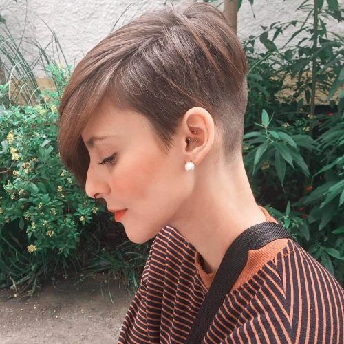 Sculptured Long Top Short Sides Pixie Hairstyles (Photo 17 of 20)