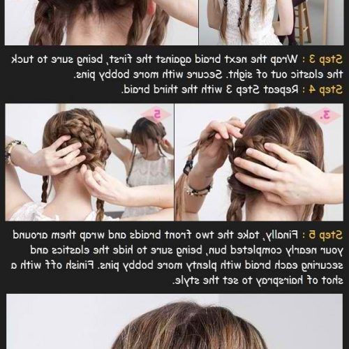 Secured Wrapping Braided Hairstyles (Photo 9 of 20)