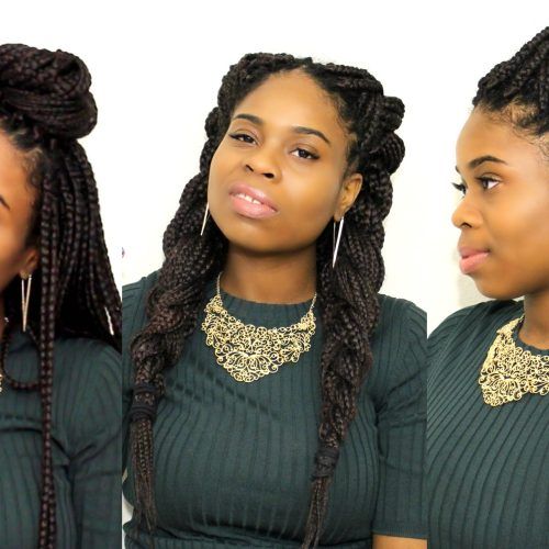 Senegalese Braided Hairstyles (Photo 7 of 15)