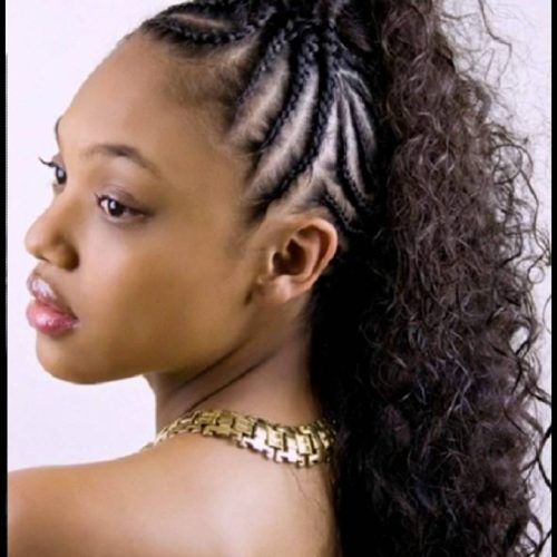 Small Braids Mohawk Hairstyles (Photo 13 of 20)