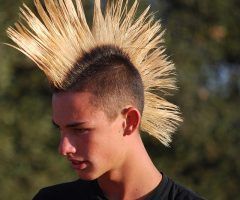 15 Photos Spiked Blonde Mohawk Haircuts