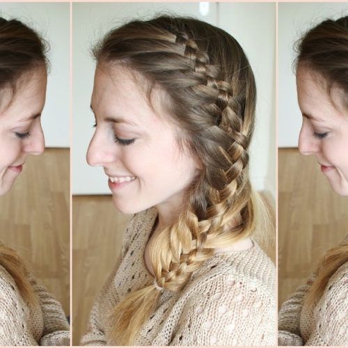 Two French Braids And Side Fishtail (Photo 13 of 15)