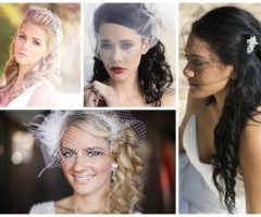2024 Latest Wedding Hairstyles for Long Hair with Birdcage Veil