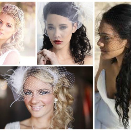 Wedding Hairstyles For Long Hair With Birdcage Veil (Photo 1 of 15)