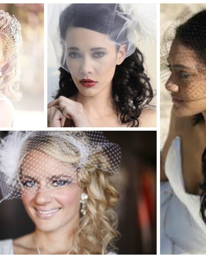 2024 Latest Wedding Hairstyles for Long Hair with Birdcage Veil