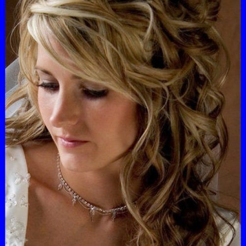 Wedding Hairstyles Long Side Ponytail Hair (Photo 10 of 15)