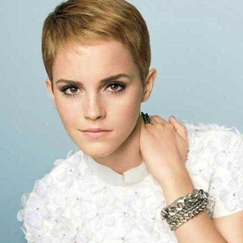 Short Pixie Haircuts For Fine Hair (Photo 20 of 20)