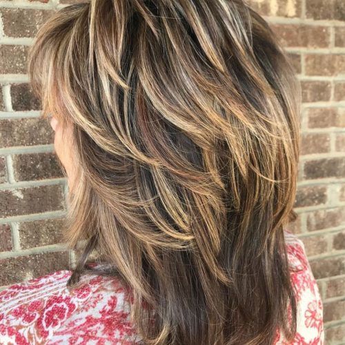 Bronde Shaggy Hairstyles With Feathered Layers (Photo 5 of 20)