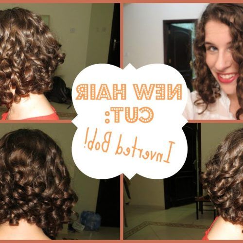 Curly Bob Hairstyles (Photo 14 of 20)