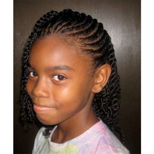Braided Hairstyles For Afro Hair (Photo 7 of 15)